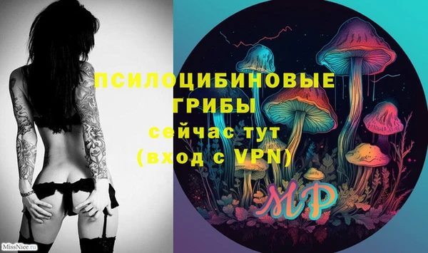 метадон Ладушкин