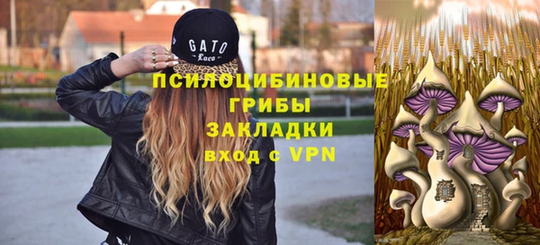 метадон Ладушкин