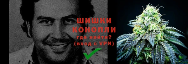 ГАЛЛЮЦИНОГЕННЫЕ ГРИБЫ Лабытнанги