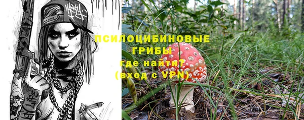крисы Лагань