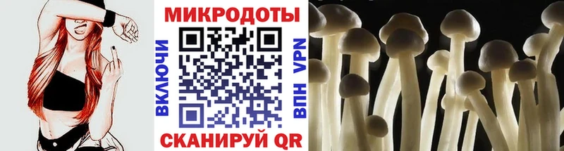 дарнет шоп Старый Крым Псилоцибиновые грибы Psilocybine cubensis